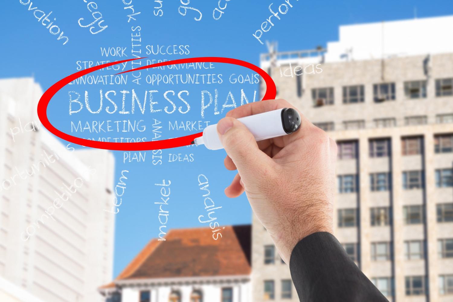 Professional Business Planning Consulting